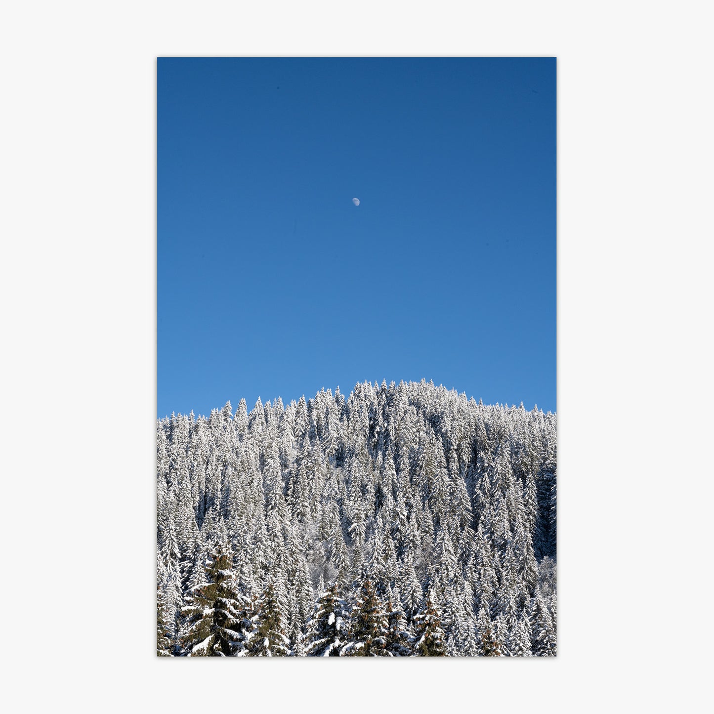 Montagne - 0230921 - Fine ART