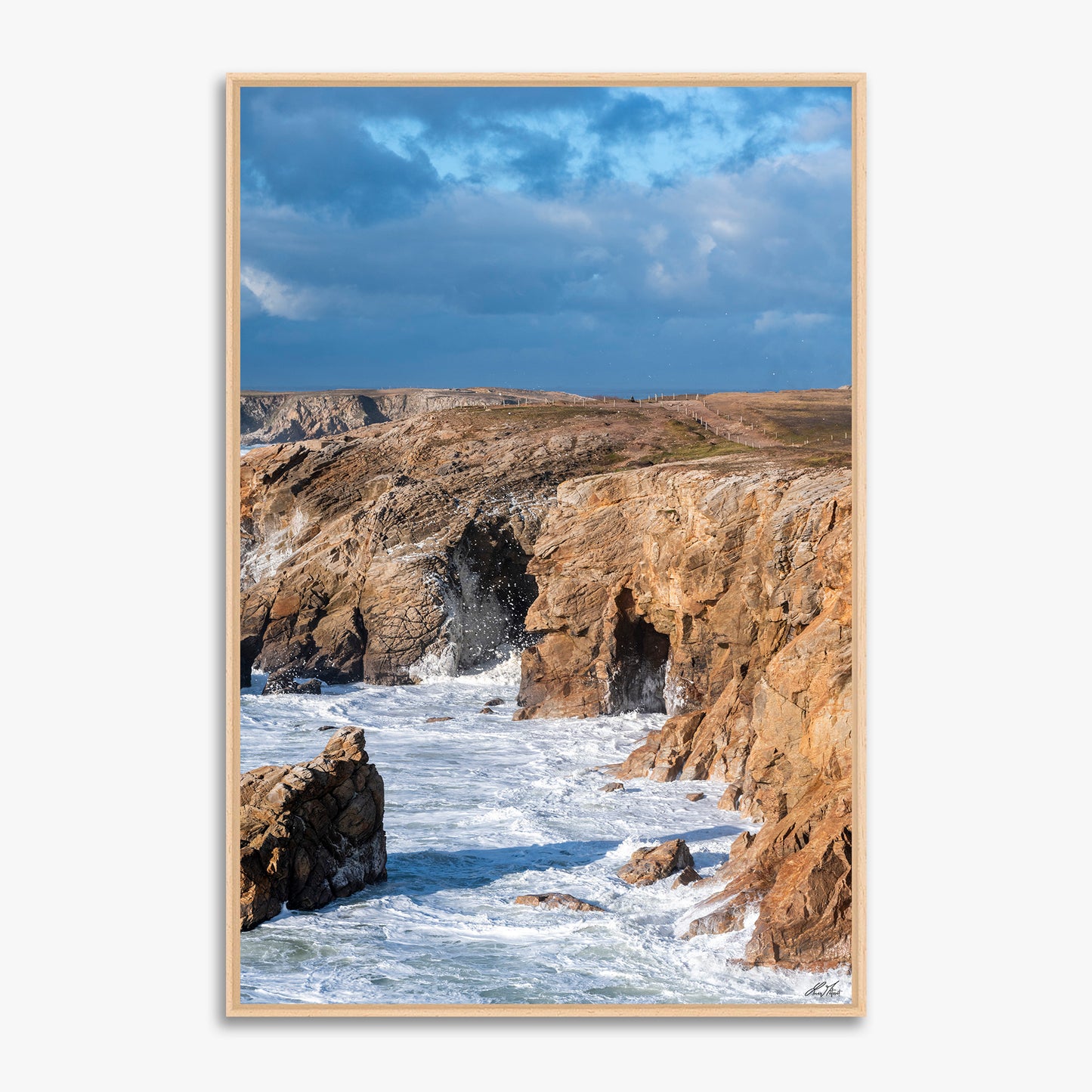 Côte Sauvage, tempête - 0230371