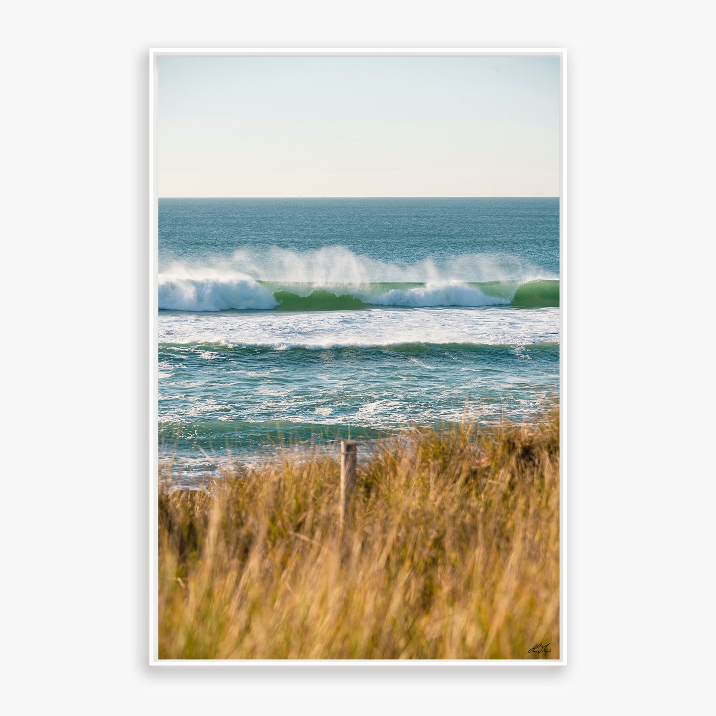 Côte Sauvage Quiberon - 0481