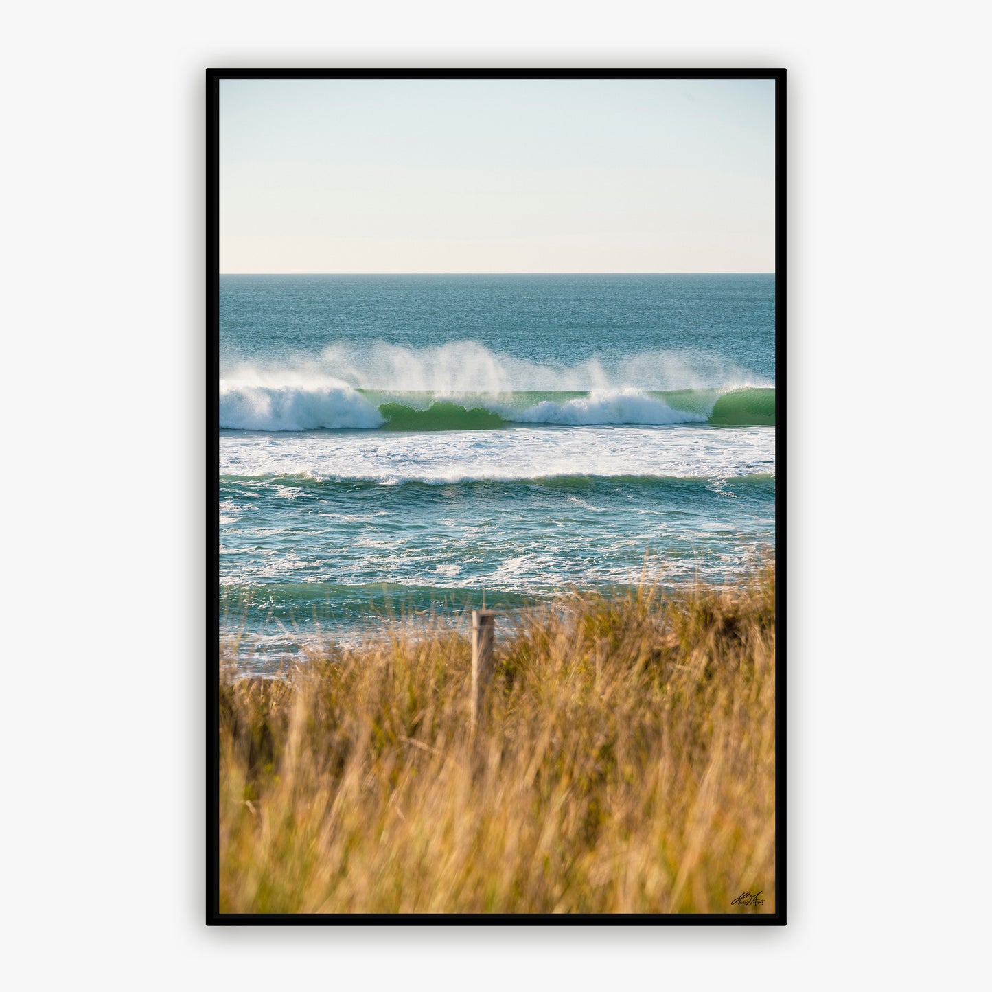 Côte Sauvage Quiberon - 0481