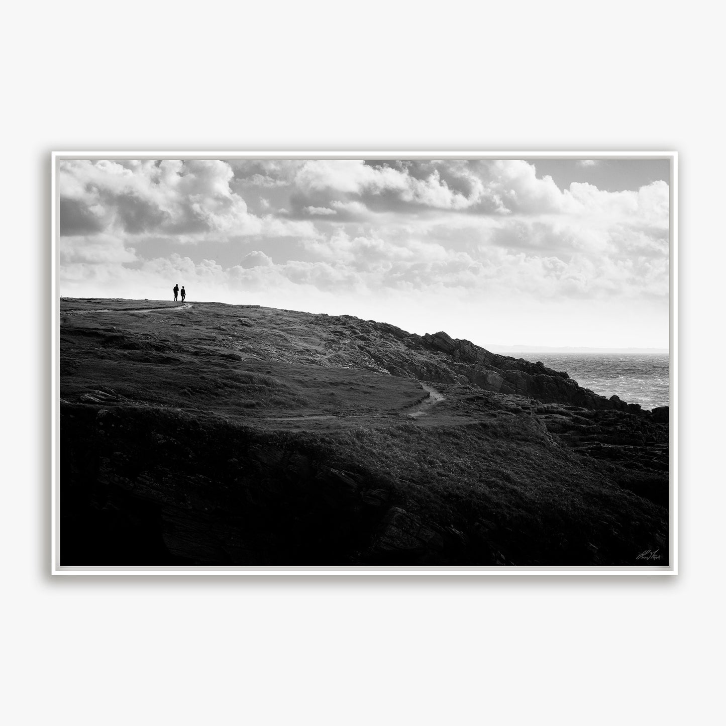 Balade sur la côte sauvage - 6799