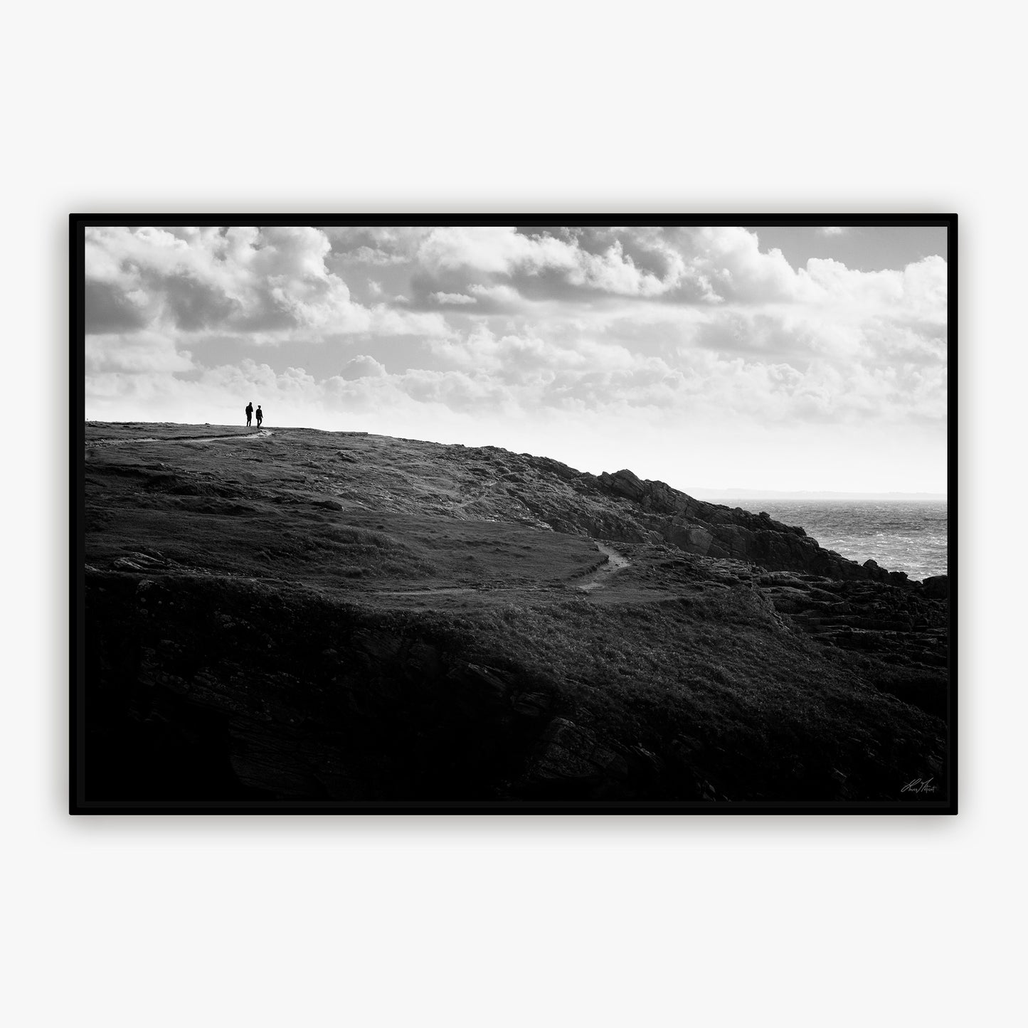 Balade sur la côte sauvage - 6799