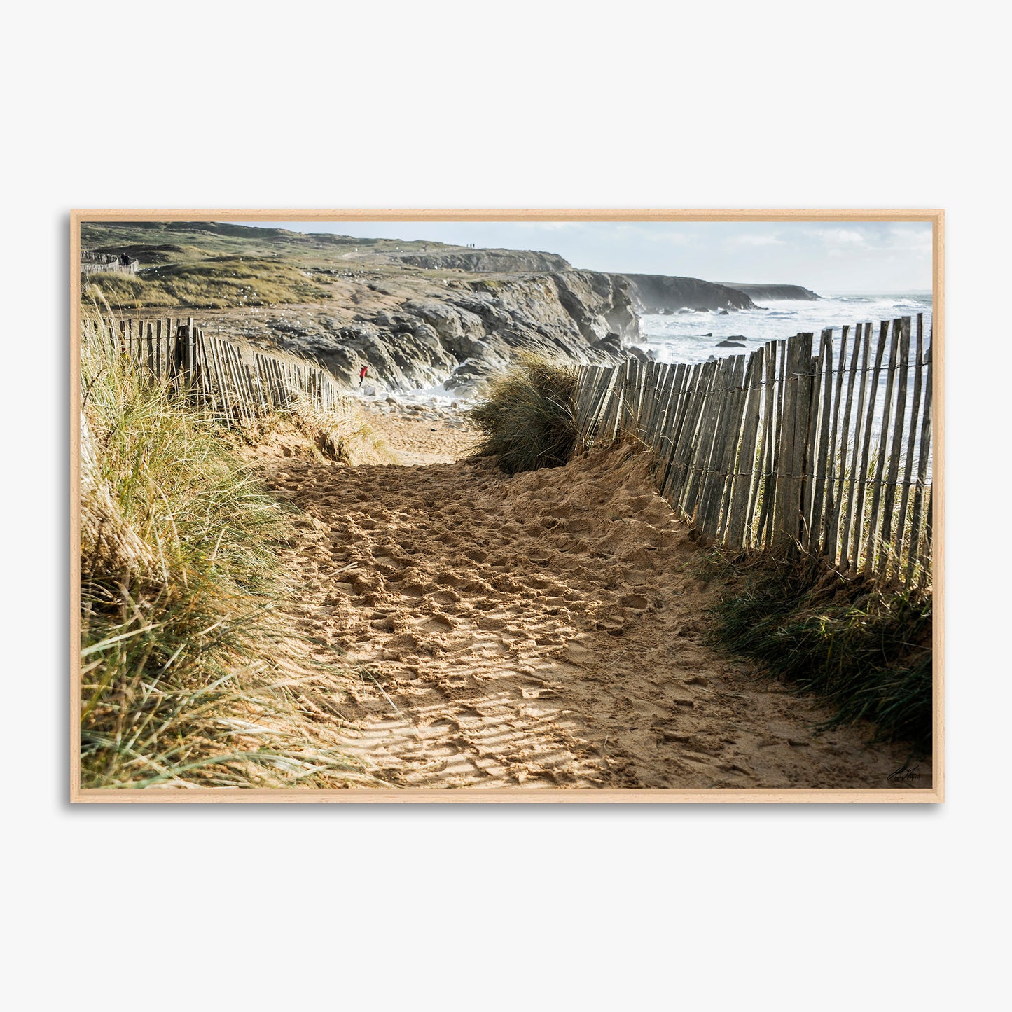 L'entrée de la plage de Port Blanc -8928