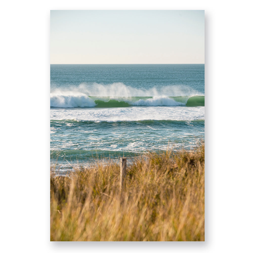 Côte Sauvage Quiberon - 0481