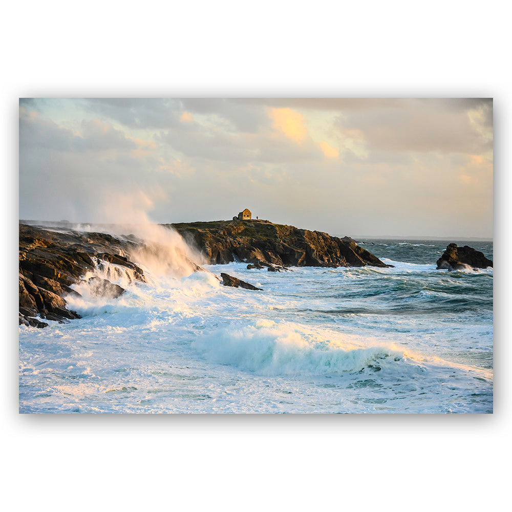 Percho dans la tempête - Côte Sauvage - 6839