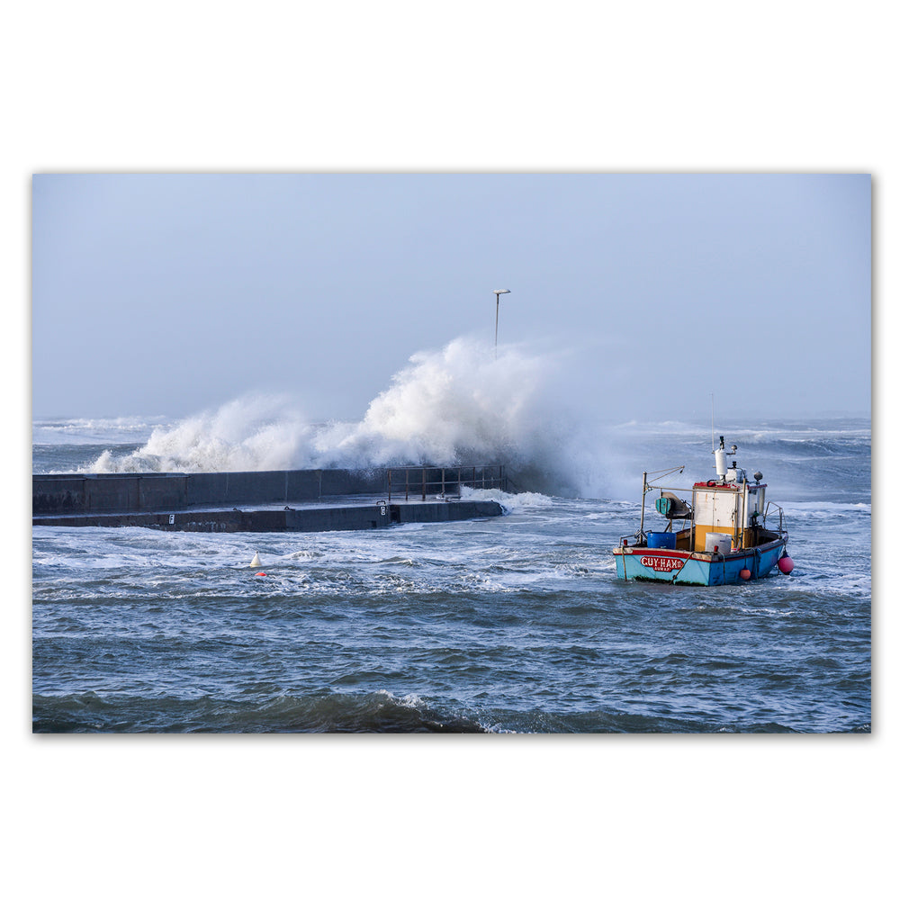 Portivy, Presqu'île de Quiberon - 0902