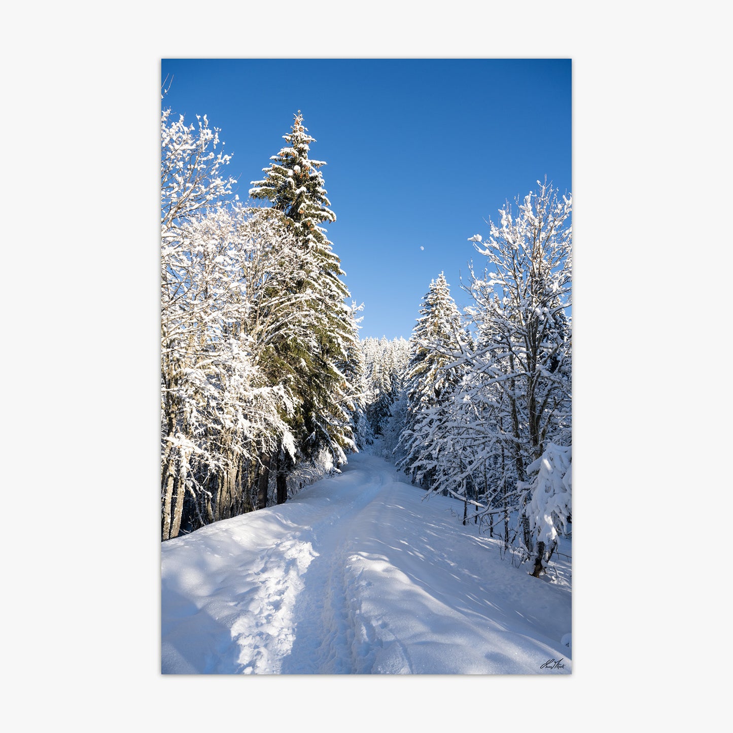 Montagne - 0230932 - Fine ART