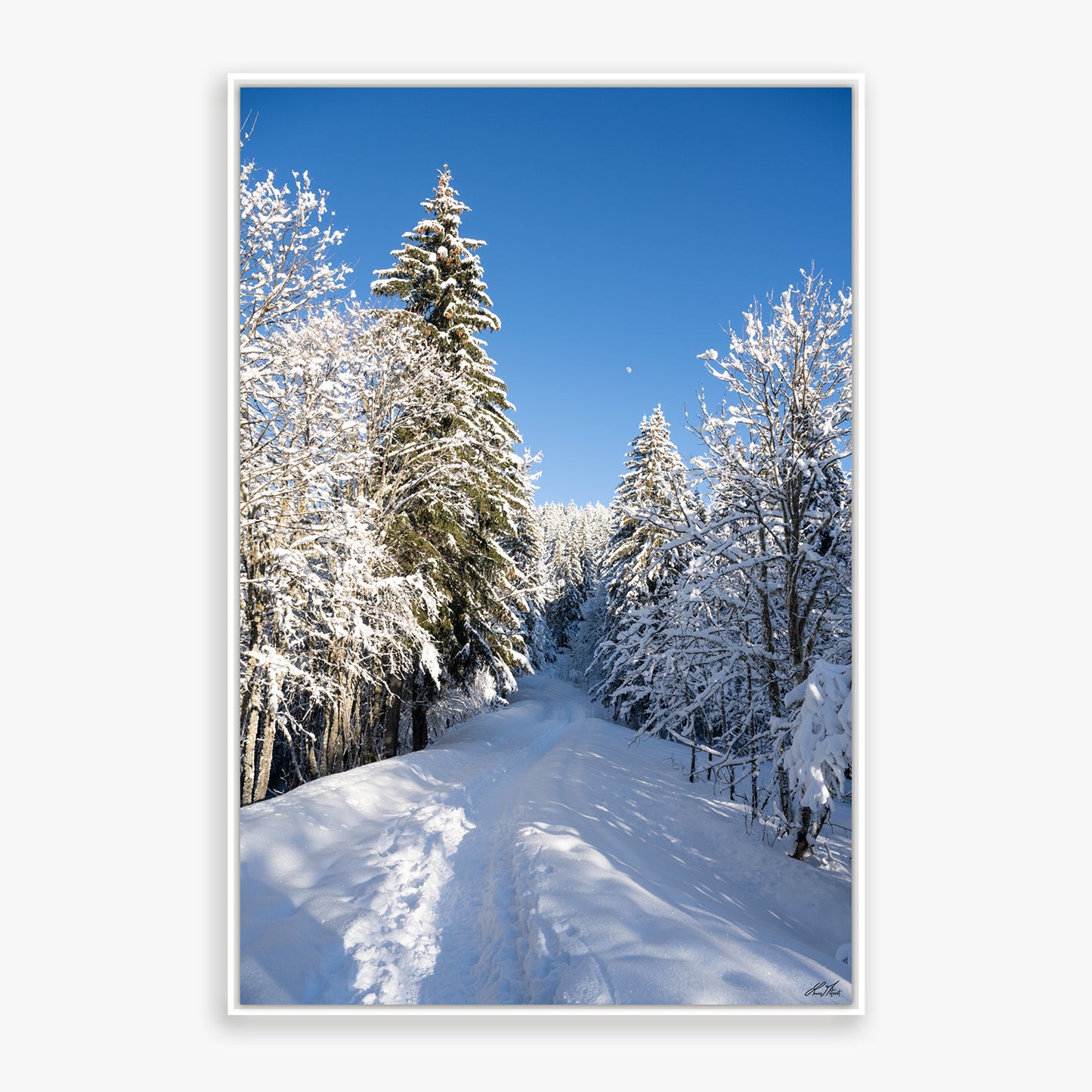 Montagne - 0230932 - Fine ART