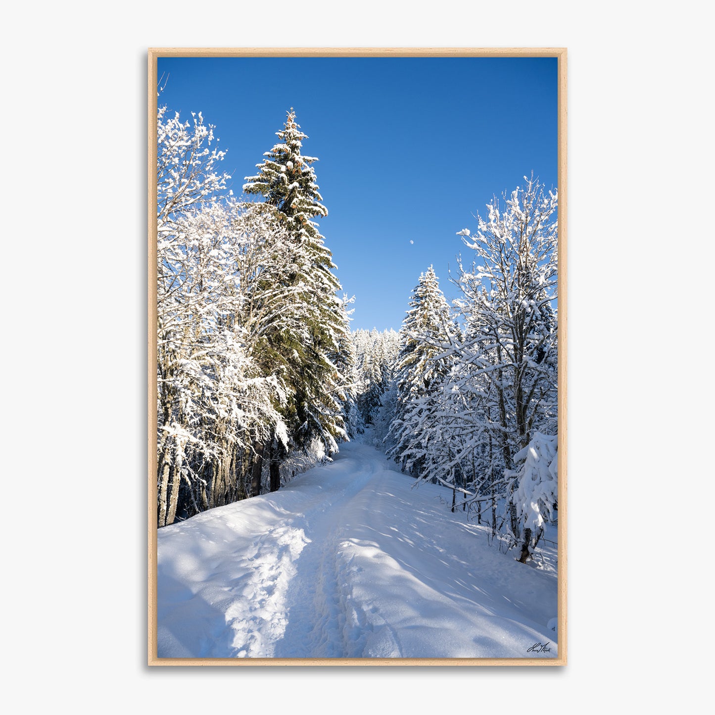 Montagne - 0230932 - Fine ART