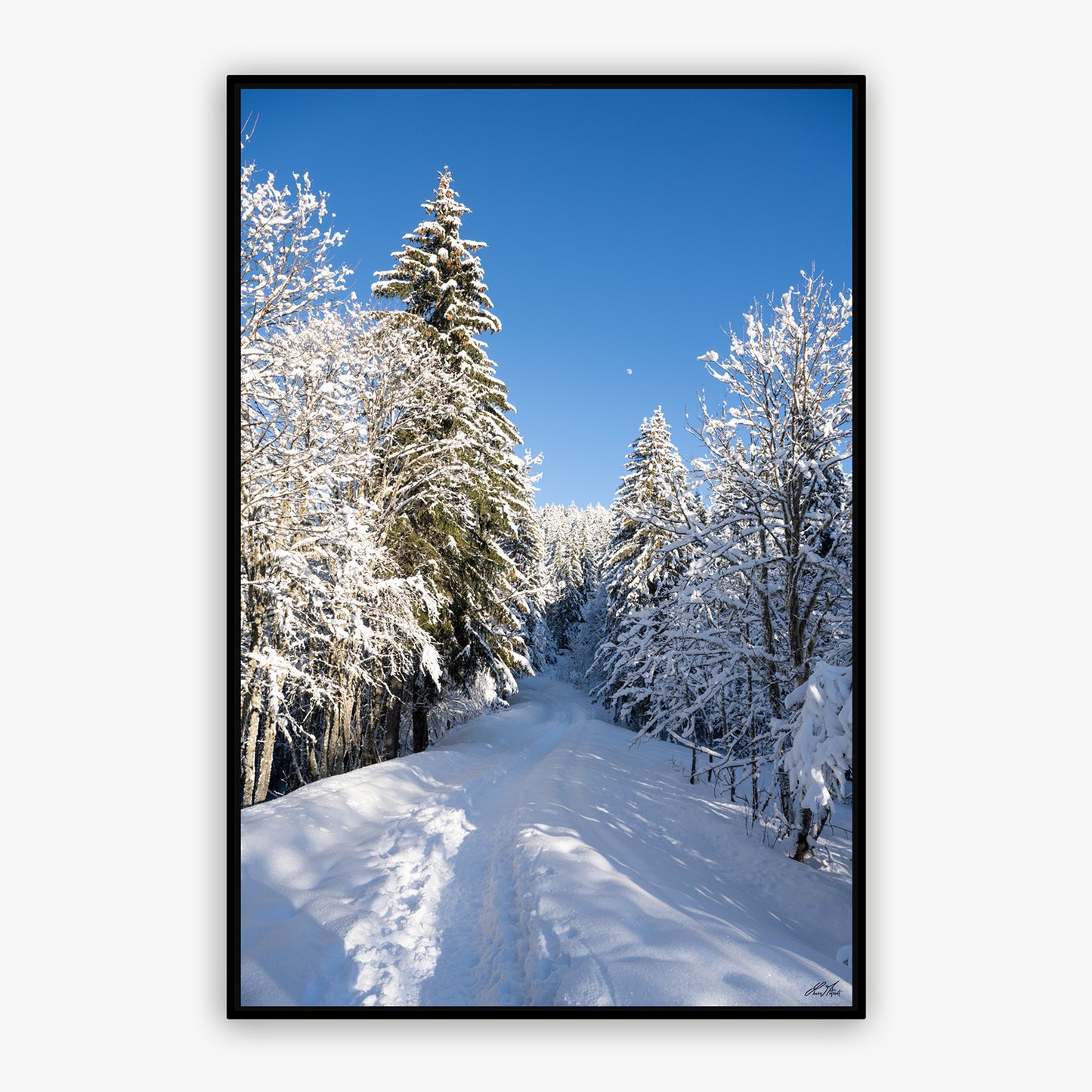 Montagne - 0230932 - Fine ART