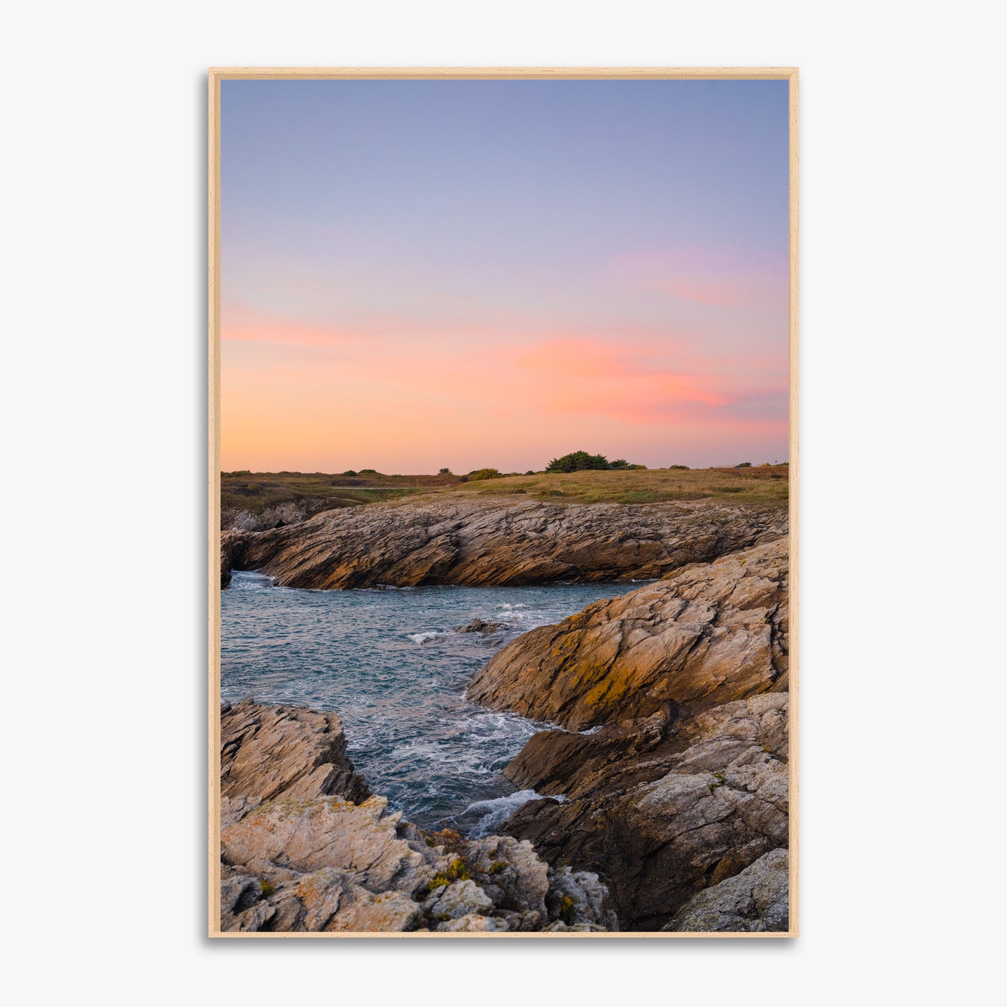 Sunset Côte - 0257298