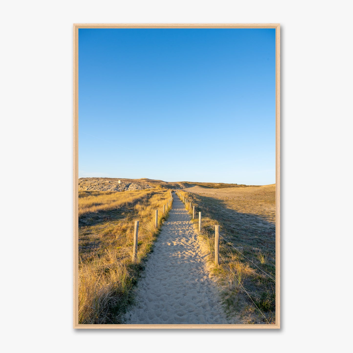 Sentier côtier- 00257473