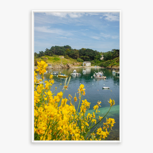 Sauzon, Belle Ile en mer - Bretagne - 9227
