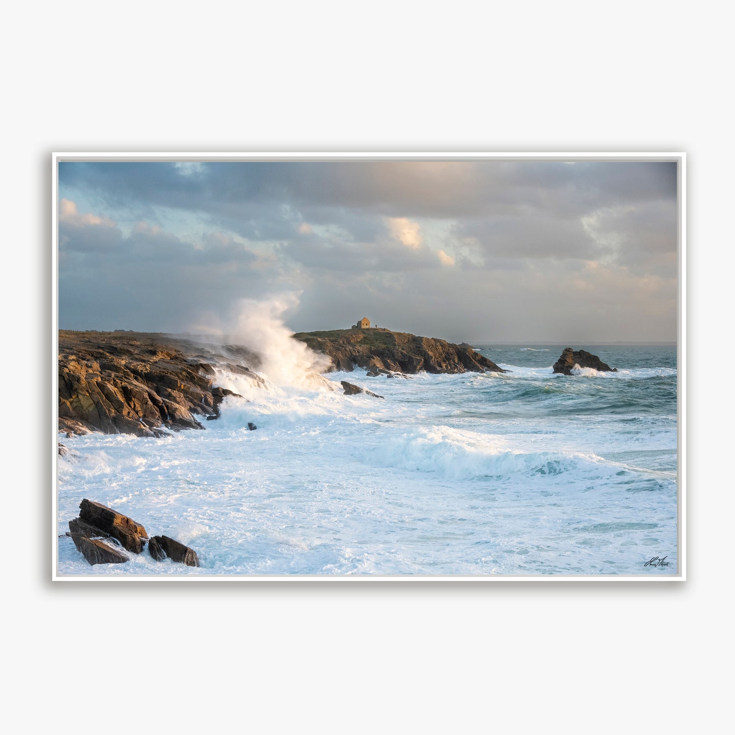Percho dans la tempête - Côte Sauvage - 6839