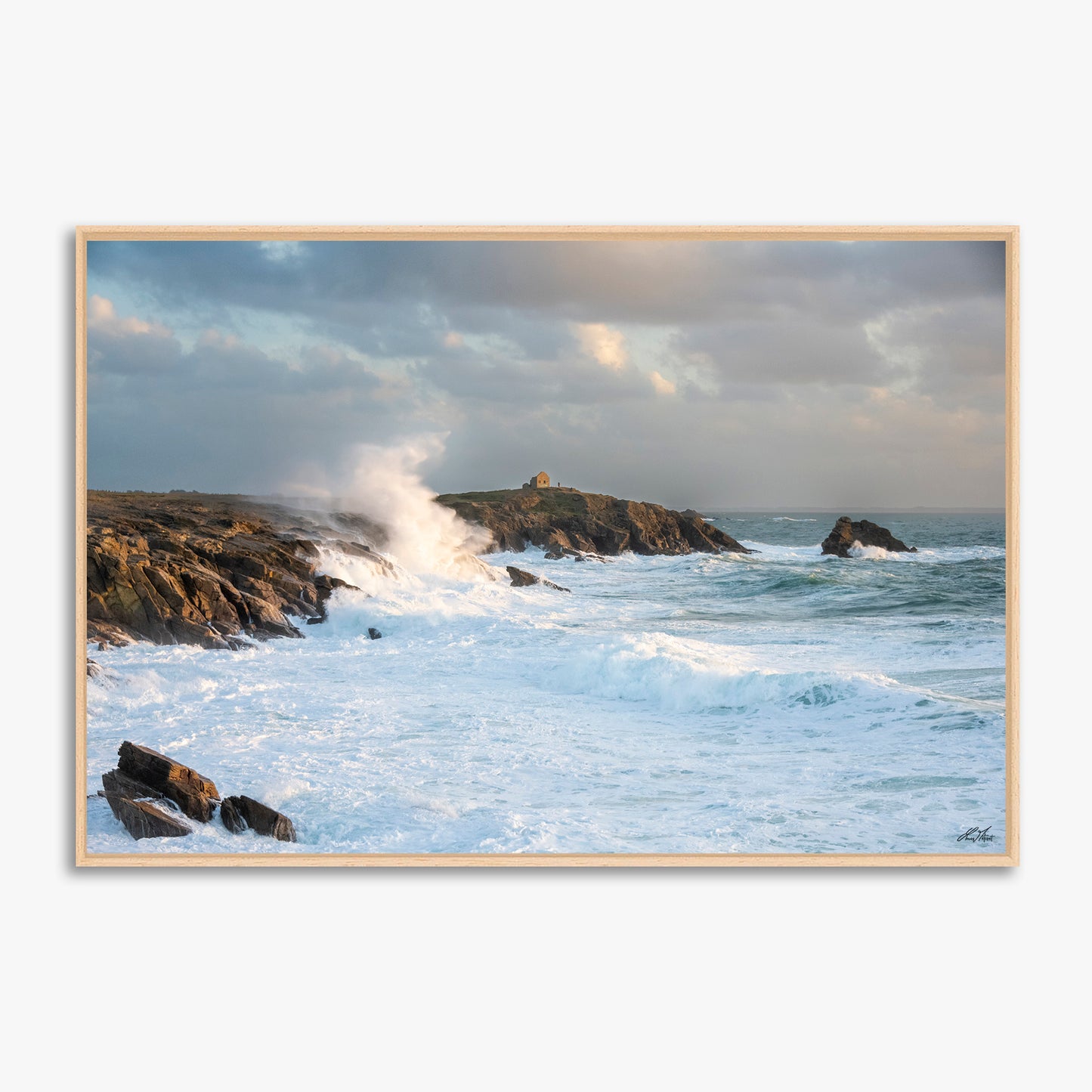 Percho dans la tempête - Côte Sauvage - 6839