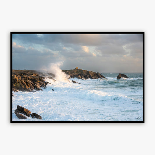 Percho dans la tempête - Côte Sauvage - 6839