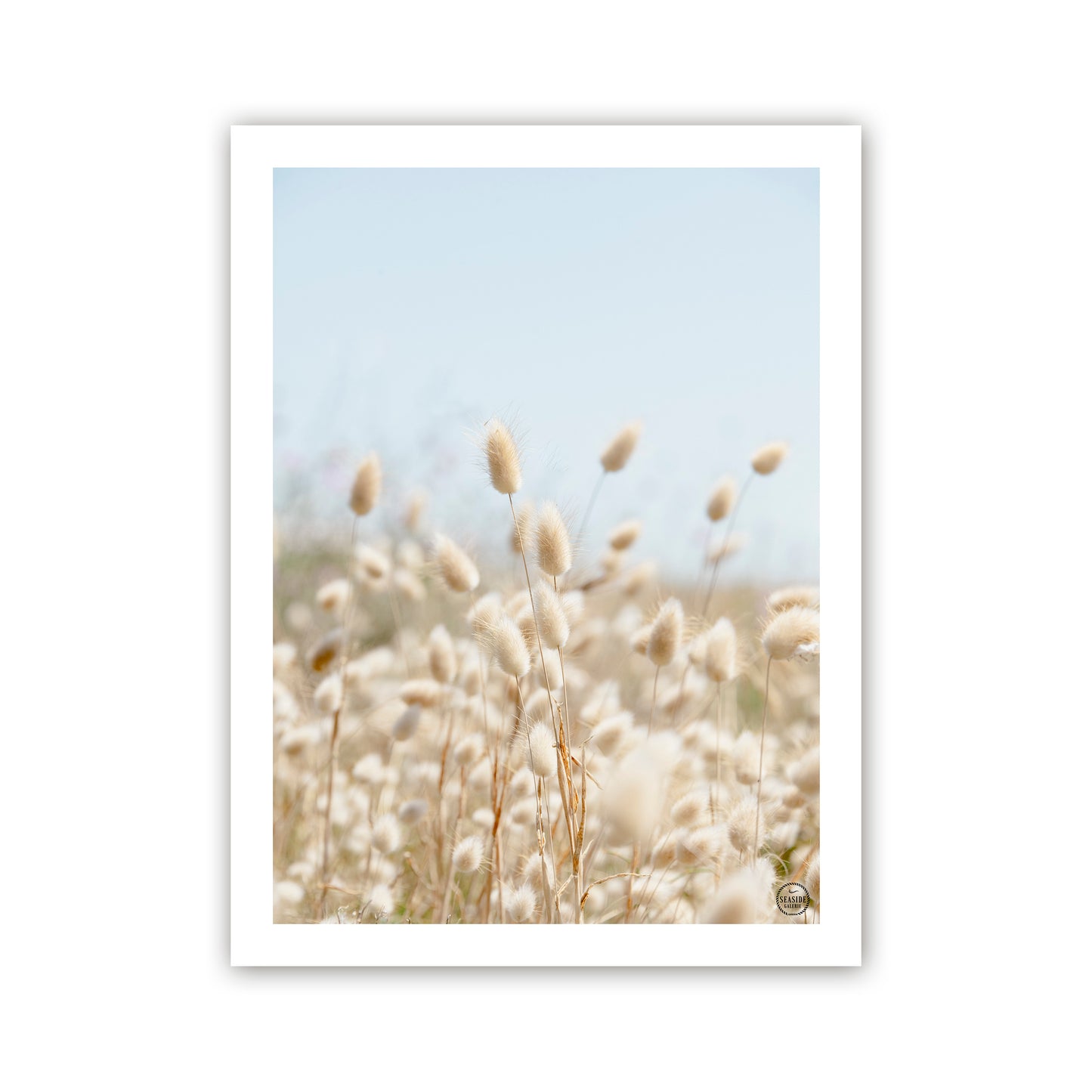 AFFICHE - Fleurs "chatons"