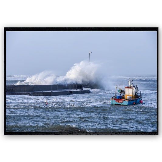 Portivy, Presqu'île de Quiberon - 0902